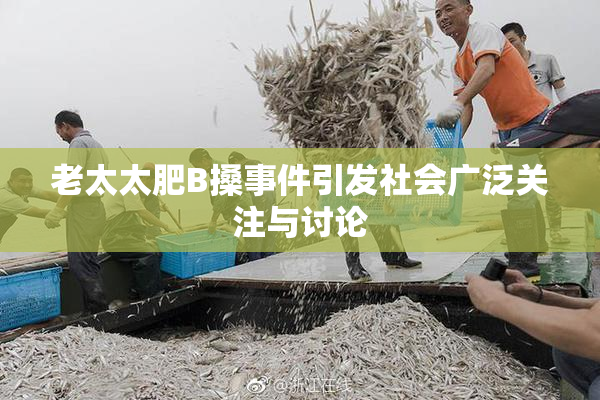 老太太肥B搡事件引发社会广泛关注与讨论