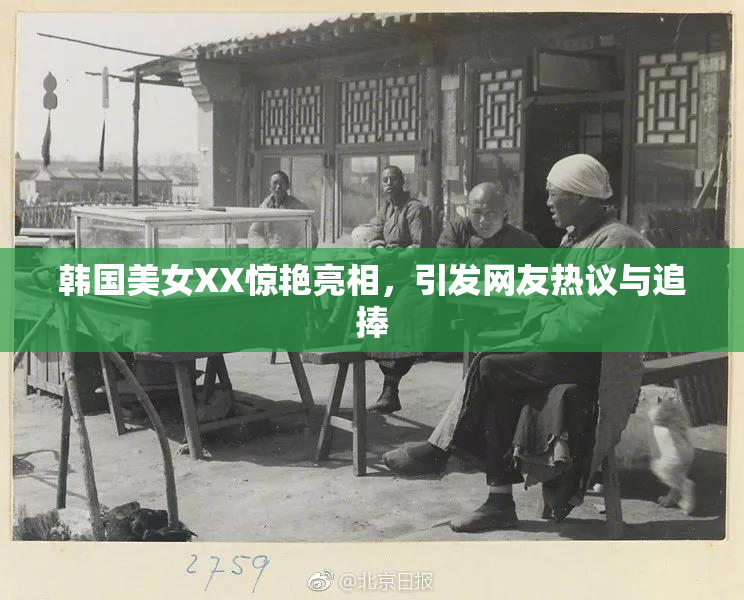 韩国美女XX惊艳亮相，引发网友热议与追捧