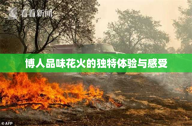 博人品味花火的独特体验与感受