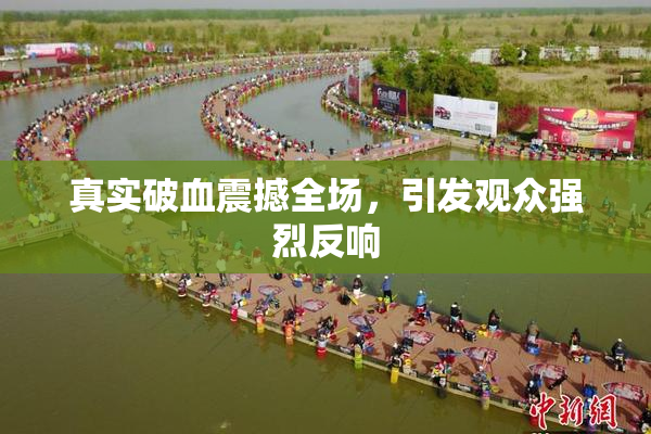 真实破血震撼全场，引发观众强烈反响