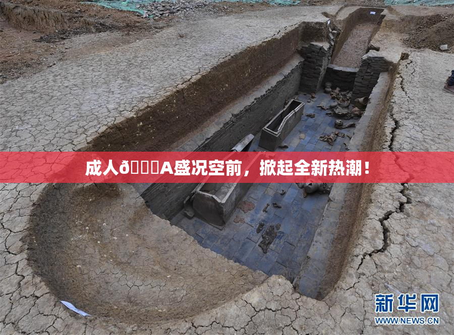成人🔞A盛况空前，掀起全新热潮！