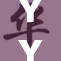 YY48聚焦：探讨新趋势与未来发展方向