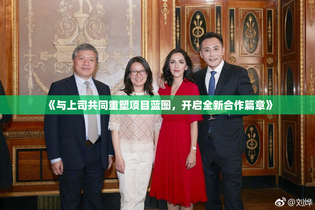 《与上司共同重塑项目蓝图，开启全新合作篇章》
