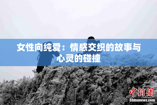 女性向纯爱：情感交织的故事与心灵的碰撞
