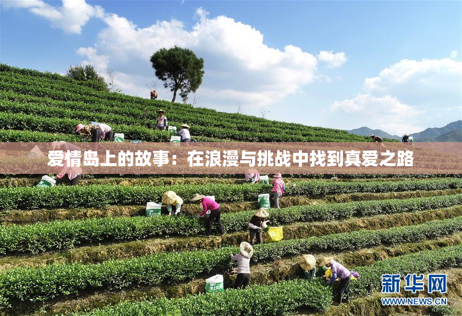 爱情岛上的故事：在浪漫与挑战中找到真爱之路