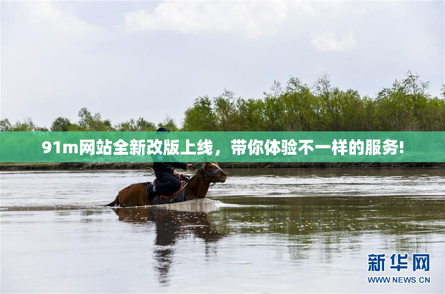 91m网站全新改版上线，带你体验不一样的服务!