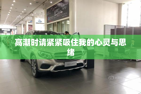 高潮时请紧紧吸住我的心灵与思绪