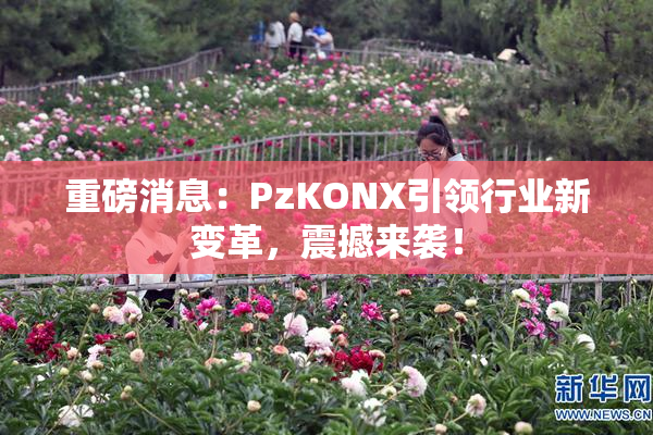 重磅消息：PzKONX引领行业新变革，震撼来袭！