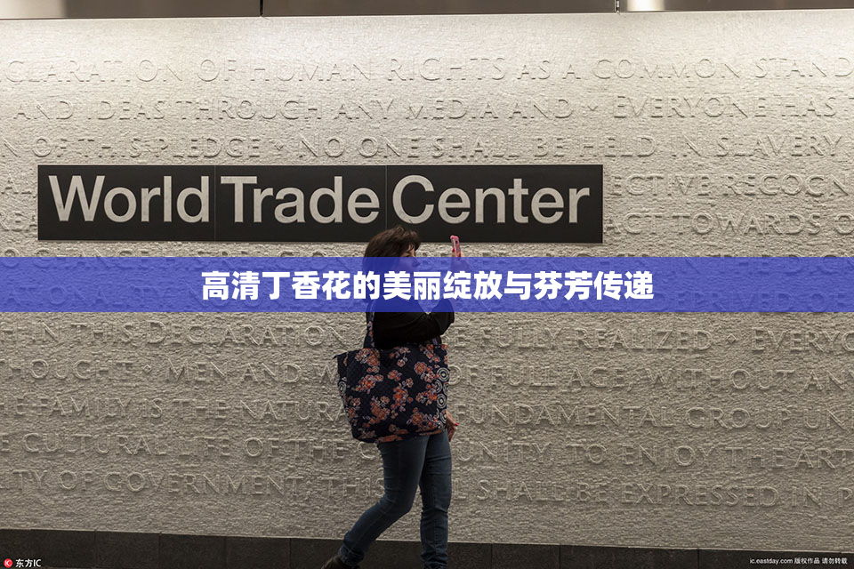 高清丁香花的美丽绽放与芬芳传递