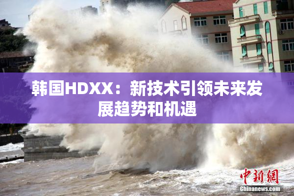 韩国HDXX：新技术引领未来发展趋势和机遇