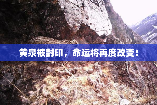 黄泉被封印，命运将再度改变！