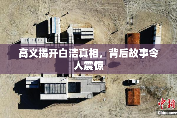 高义揭开白洁真相，背后故事令人震惊
