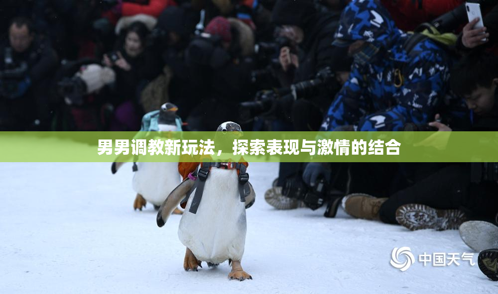 男男调教新玩法，探索表现与激情的结合