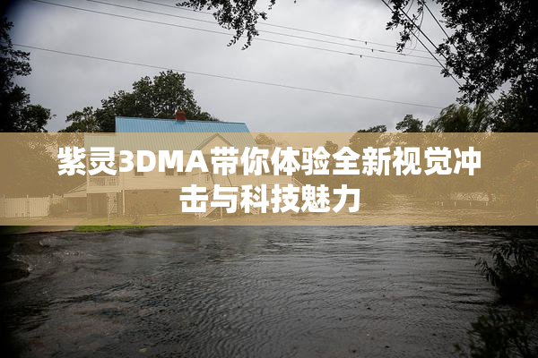 紫灵3DMA带你体验全新视觉冲击与科技魅力
