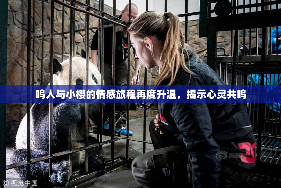 鸣人与小樱的情感旅程再度升温，揭示心灵共鸣