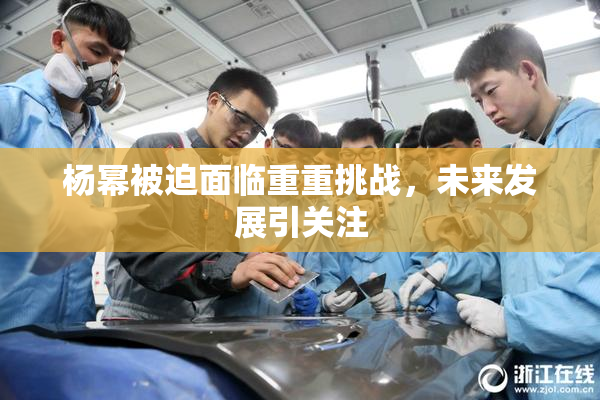 杨幂被迫面临重重挑战，未来发展引关注