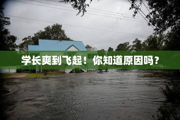 学长爽到飞起！你知道原因吗？
