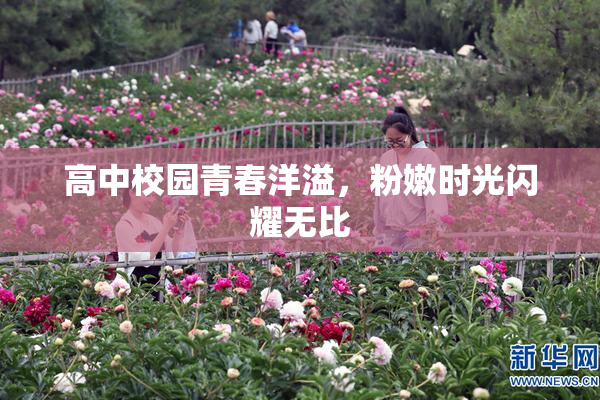 高中校园青春洋溢，粉嫩时光闪耀无比