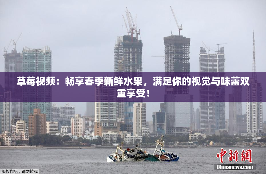草莓视频：畅享春季新鲜水果，满足你的视觉与味蕾双重享受！