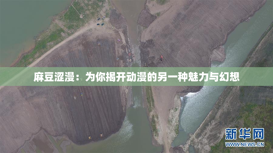 麻豆涩漫：为你揭开动漫的另一种魅力与幻想