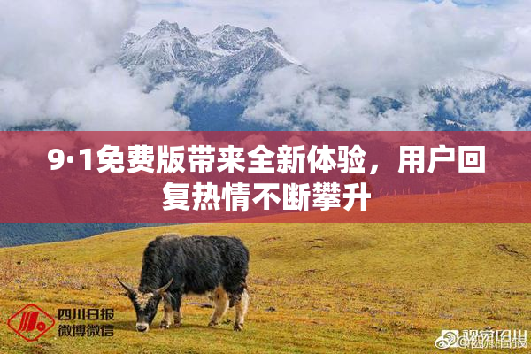 9·1免费版带来全新体验，用户回复热情不断攀升