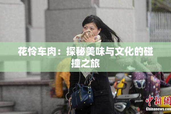 花怜车肉：探秘美味与文化的碰撞之旅
