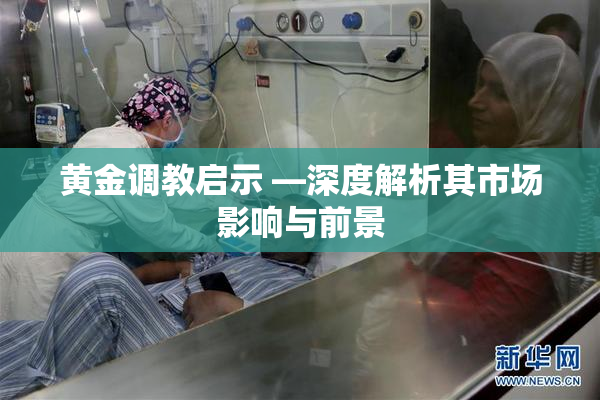 黄金调教启示 —深度解析其市场影响与前景