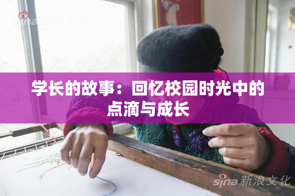 学长的故事：回忆校园时光中的点滴与成长
