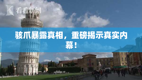 骇爪暴露真相，重磅揭示真实内幕！
