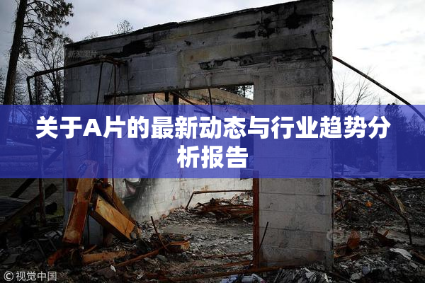 关于A片的最新动态与行业趋势分析报告