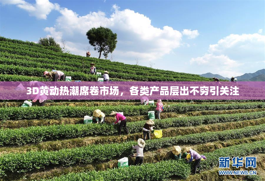 3D黄动热潮席卷市场，各类产品层出不穷引关注