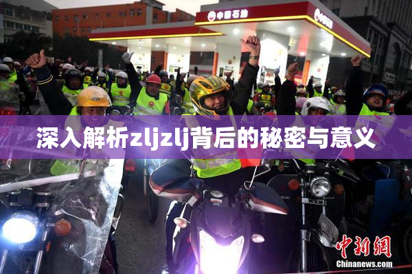深入解析zljzlj背后的秘密与意义