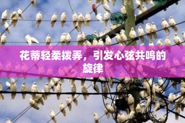 花蒂轻柔拨弄，引发心弦共鸣的旋律