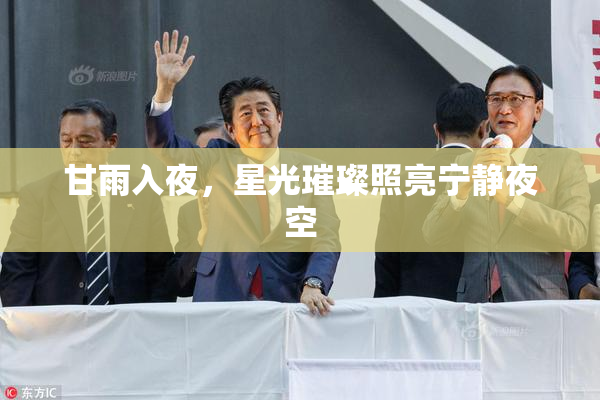 甘雨入夜，星光璀璨照亮宁静夜空