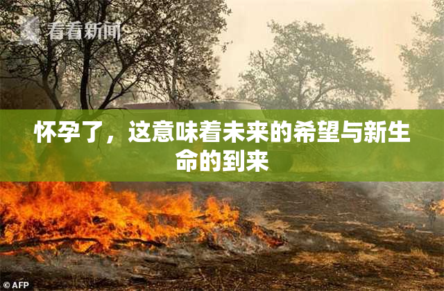 怀孕了，这意味着未来的希望与新生命的到来