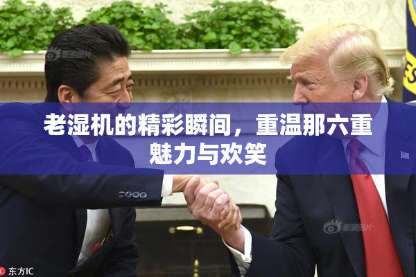老湿机的精彩瞬间，重温那六重魅力与欢笑