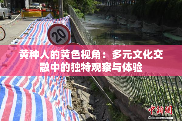 黄种人的黄色视角：多元文化交融中的独特观察与体验
