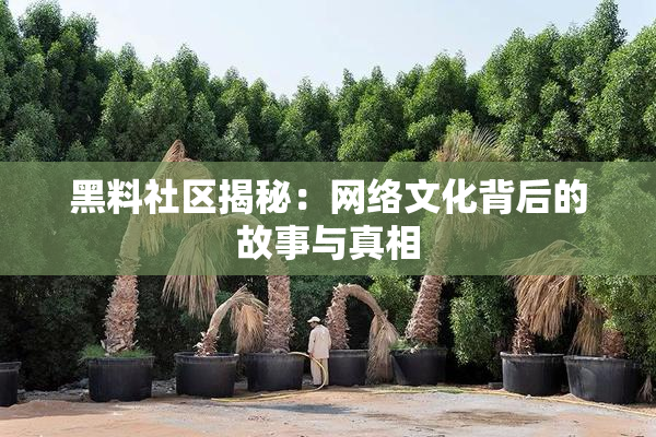 黑料社区揭秘：网络文化背后的故事与真相
