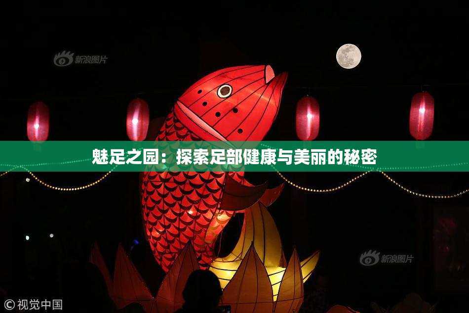魅足之园：探索足部健康与美丽的秘密