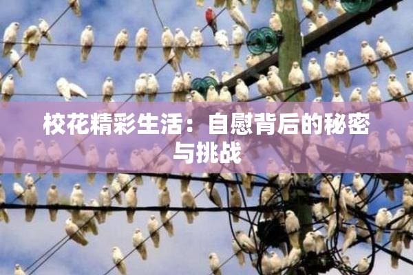 校花精彩生活：自慰背后的秘密与挑战