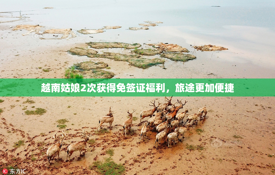 越南姑娘2次获得免签证福利，旅途更加便捷