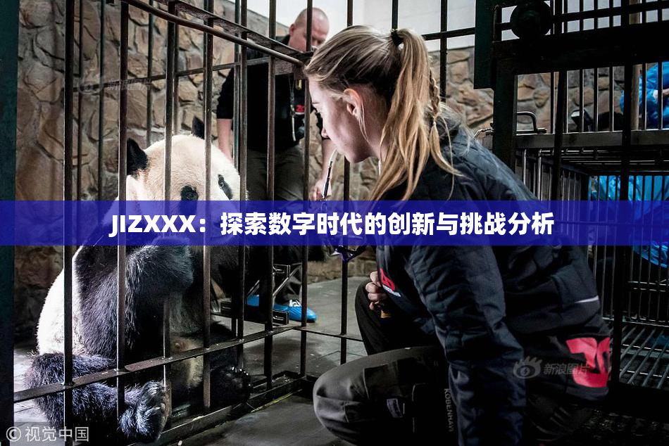 JIZXXX：探索数字时代的创新与挑战分析