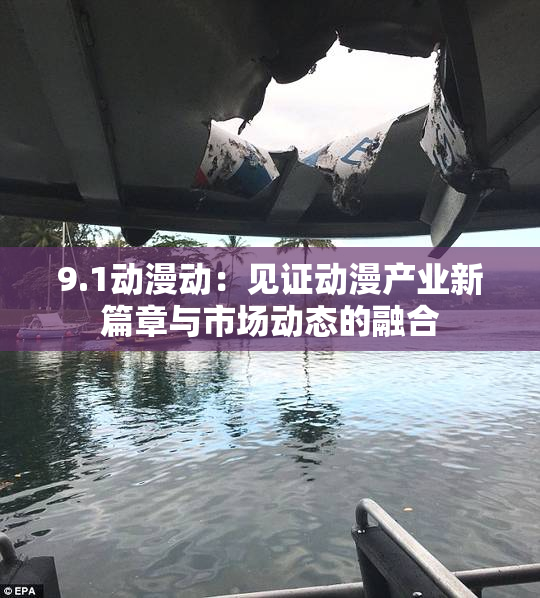 9.1动漫动：见证动漫产业新篇章与市场动态的融合