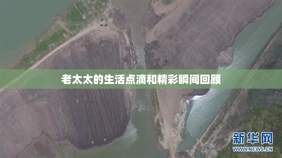 老太太的生活点滴和精彩瞬间回顾