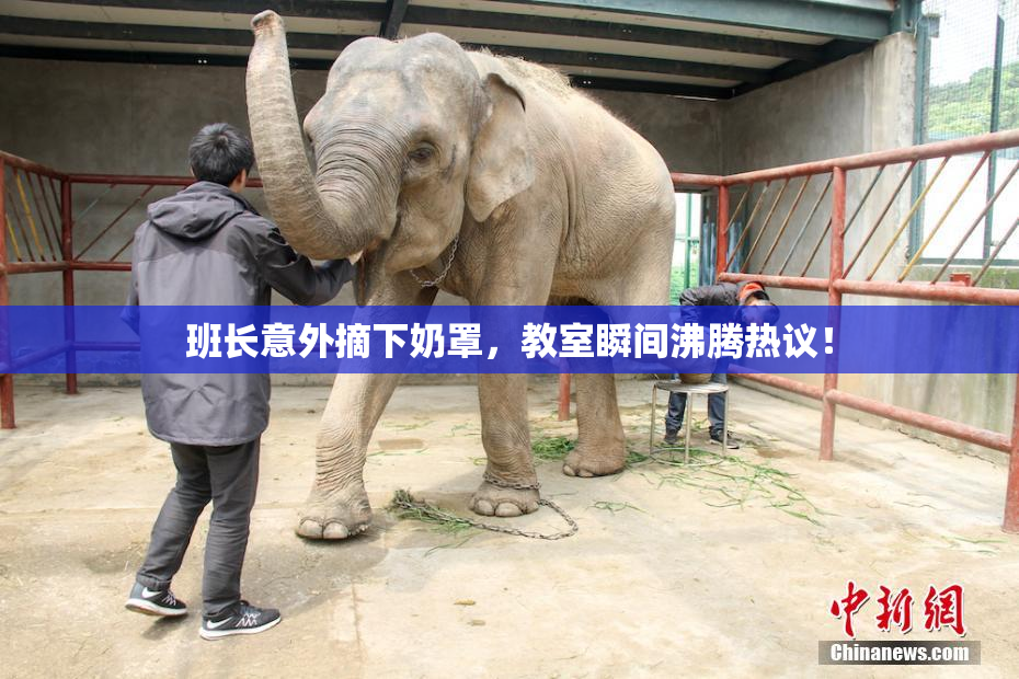 班长意外摘下奶罩，教室瞬间沸腾热议！