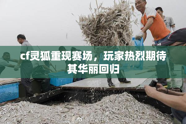 cf灵狐重现赛场，玩家热烈期待其华丽回归