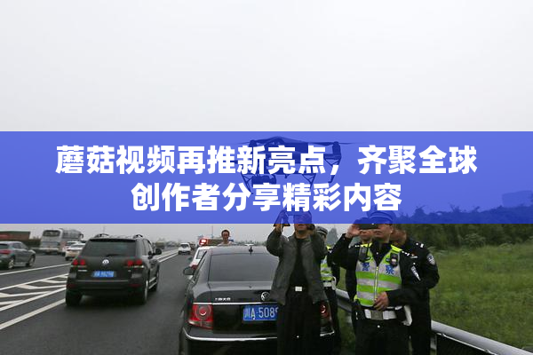 蘑菇视频再推新亮点，齐聚全球创作者分享精彩内容