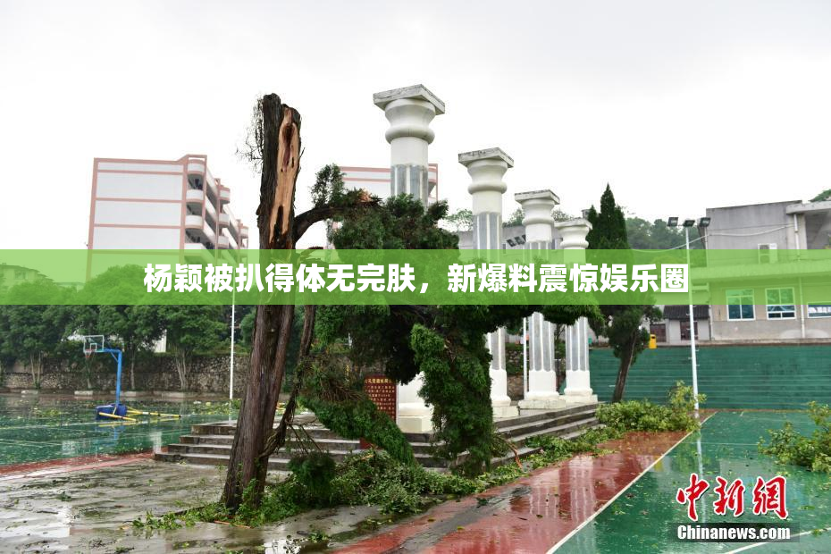 杨颖被扒得体无完肤，新爆料震惊娱乐圈
