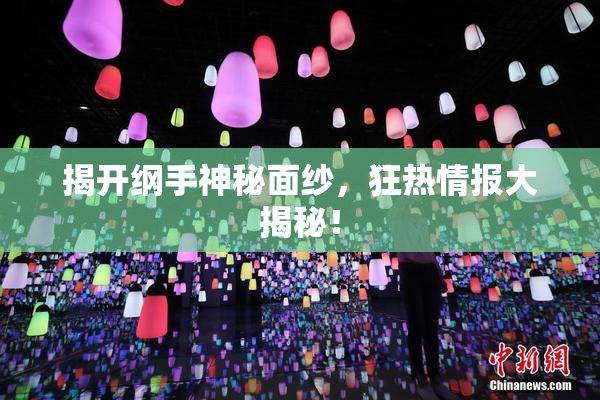 揭开纲手神秘面纱，狂热情报大揭秘！
