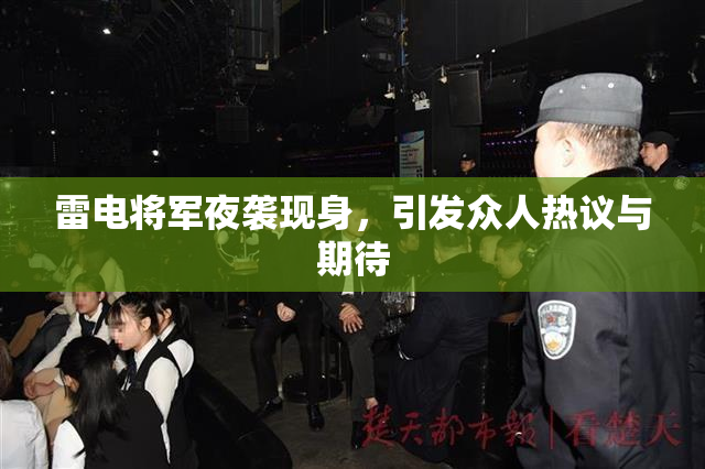 雷电将军夜袭现身，引发众人热议与期待